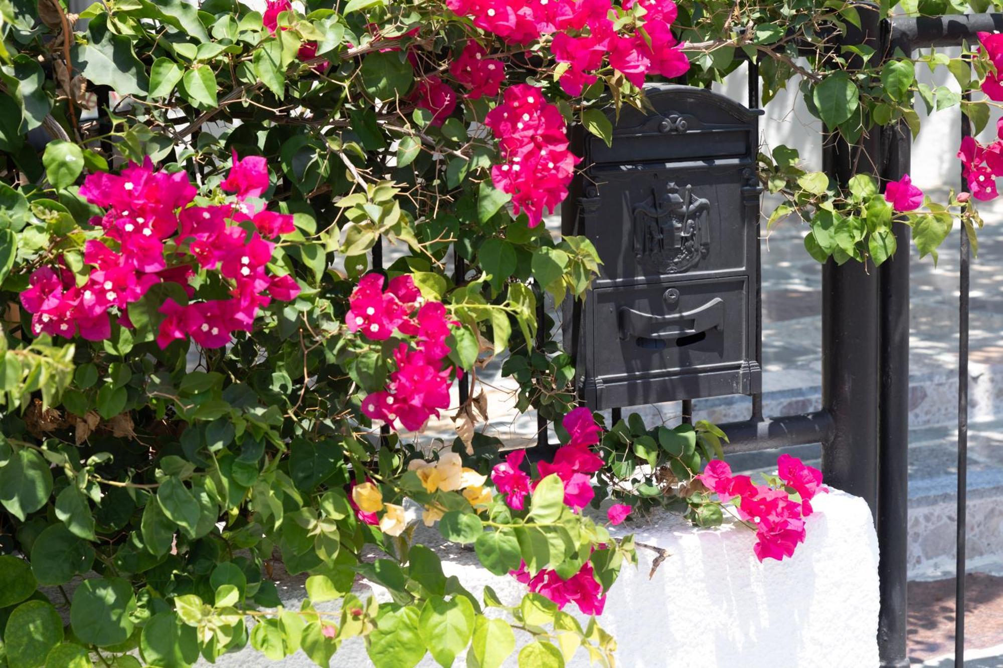 Limassol Akrotiri Beach Vine Cottage A Ngoại thất bức ảnh